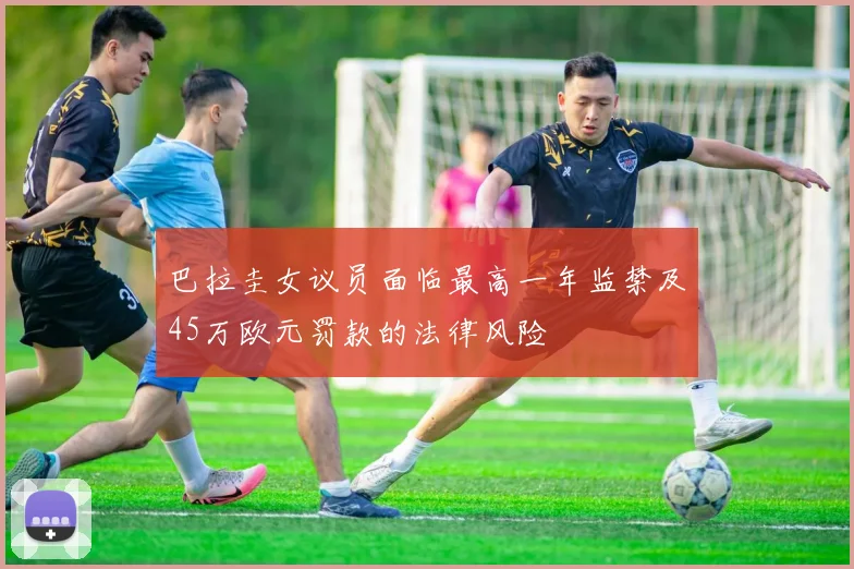 巴拉圭女议员面临最高一年监禁及45万欧元罚款的法律风险